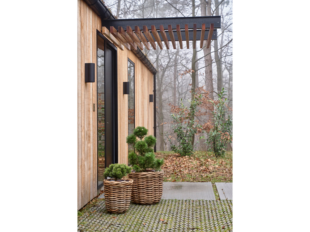 Plantenbak set van 2 Naturel riet