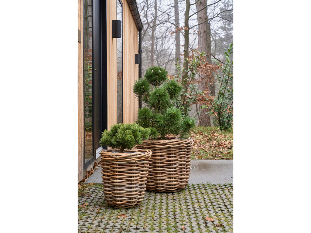Plantenbak set van 2 Naturel riet