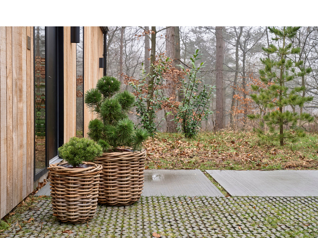 Plantenbak set van 2 Naturel riet