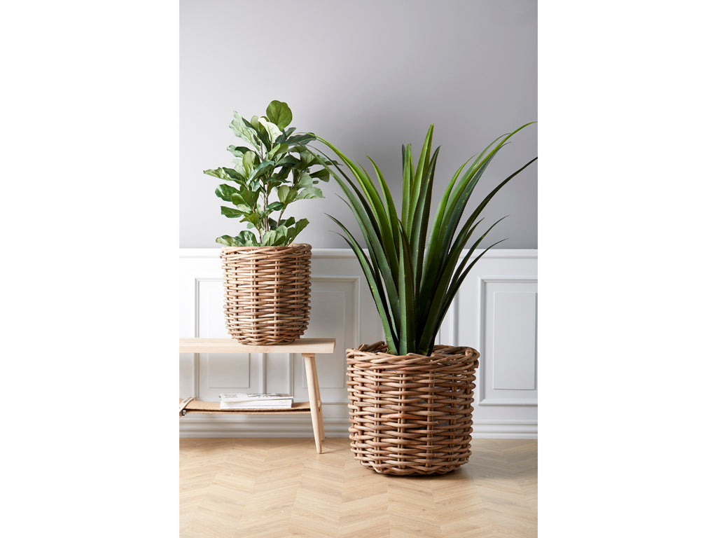 Plantenbak set van 2 Naturel riet