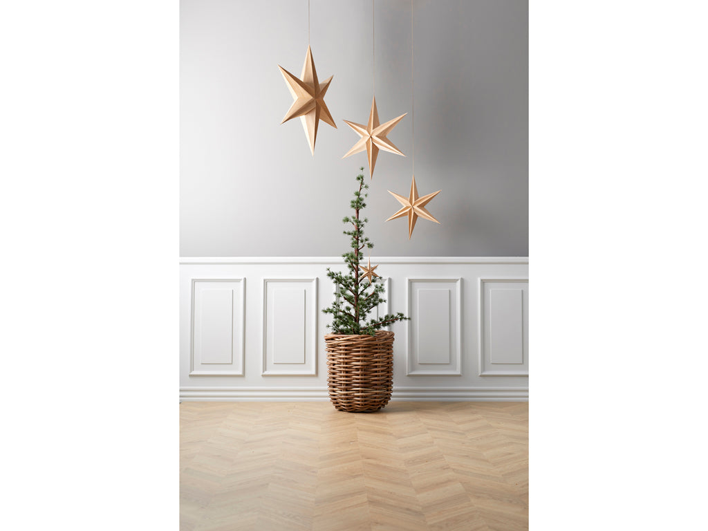 Plantenbak set van 2 Naturel riet