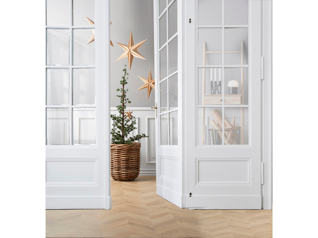 Plantenbak set van 2 Naturel riet