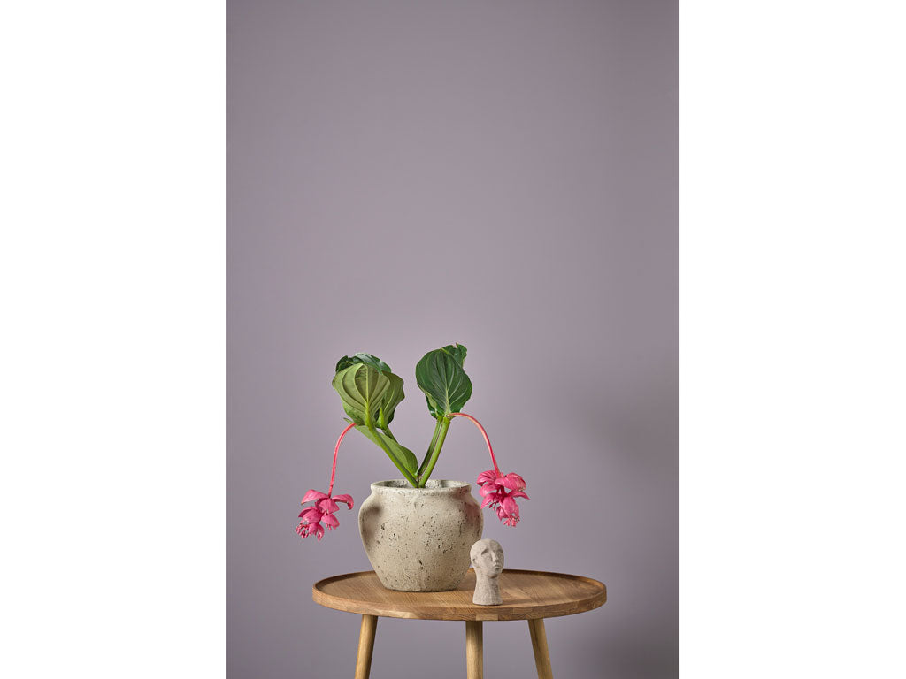 Pot voor decoratie Dia. 30 x 25 cm Grijs - Accessoire Loods