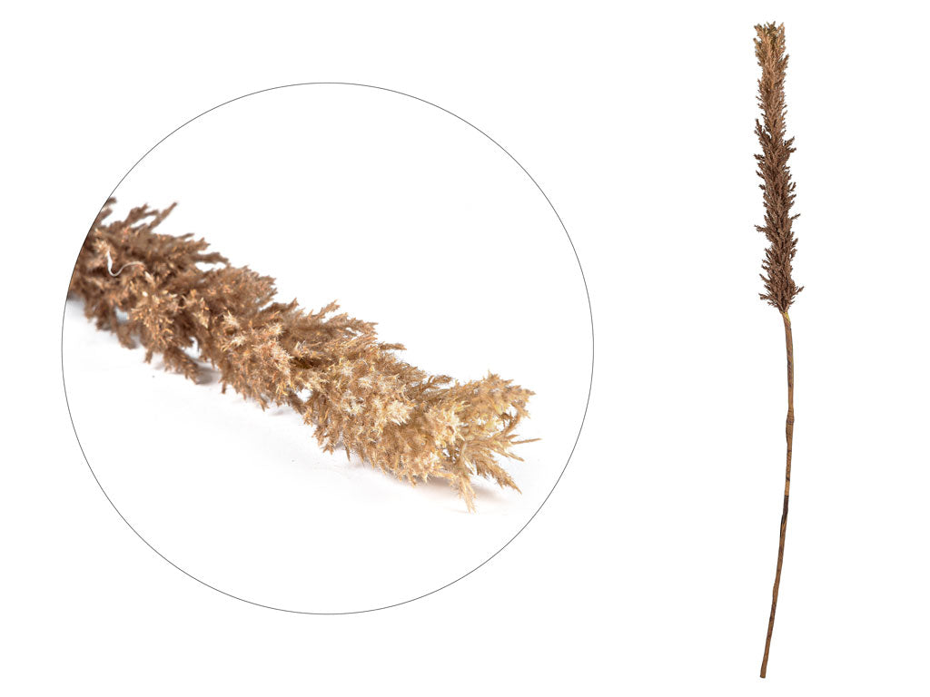 Villa Collection Kvist Grassen donker Decor 100 cm Natur - Accessoire Loods
