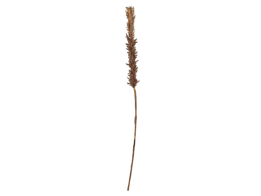 Villa Collection Kvist Grassen donker Decor 100 cm Natur - Accessoire Loods