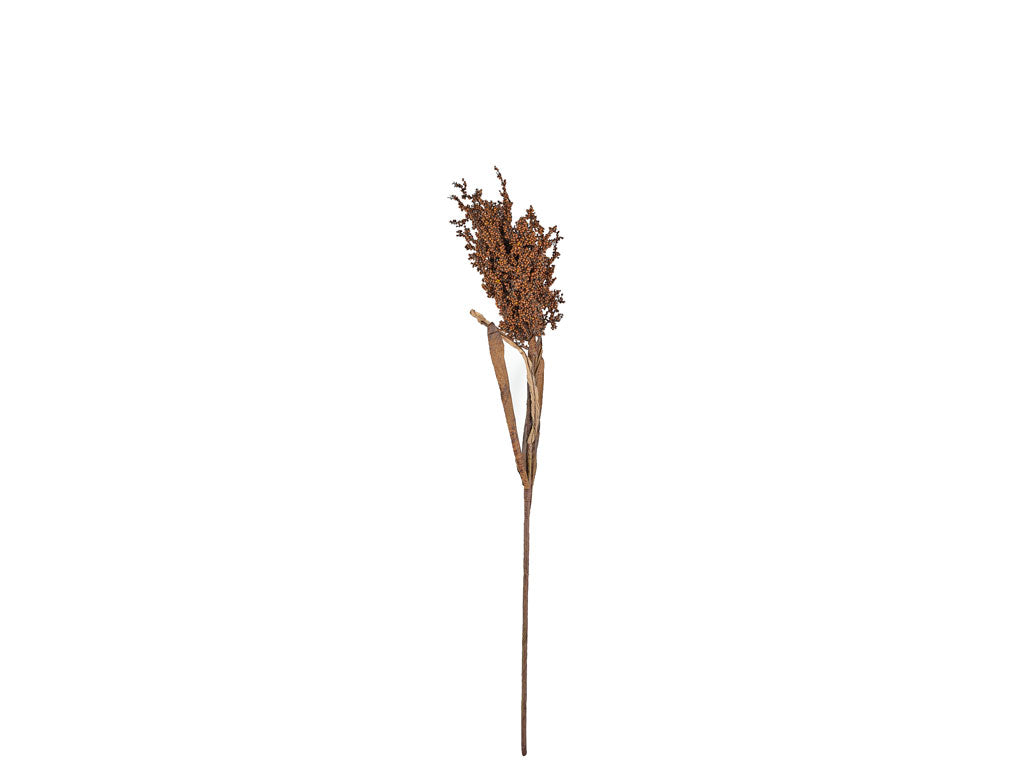 Villa Collection Kvist Pampus Gras Donker Decor 86 cm Natuur - Accessoire Loods