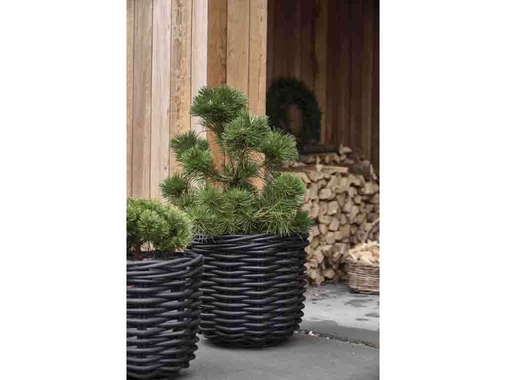 Villa Collection Vilda Plantenmand 2 stuks Zwart