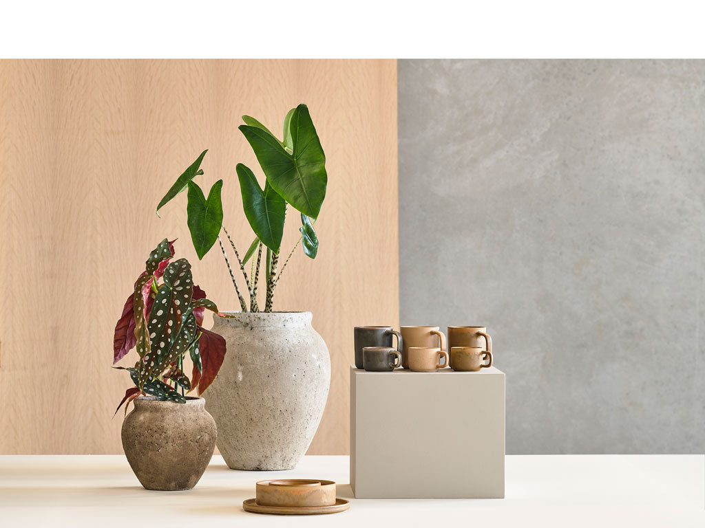 Villa Collection Fjord Espressokop 8,8 x 6 x 4,9 cm 0,1 liter 2 stuks Crème - Accessoire Loods