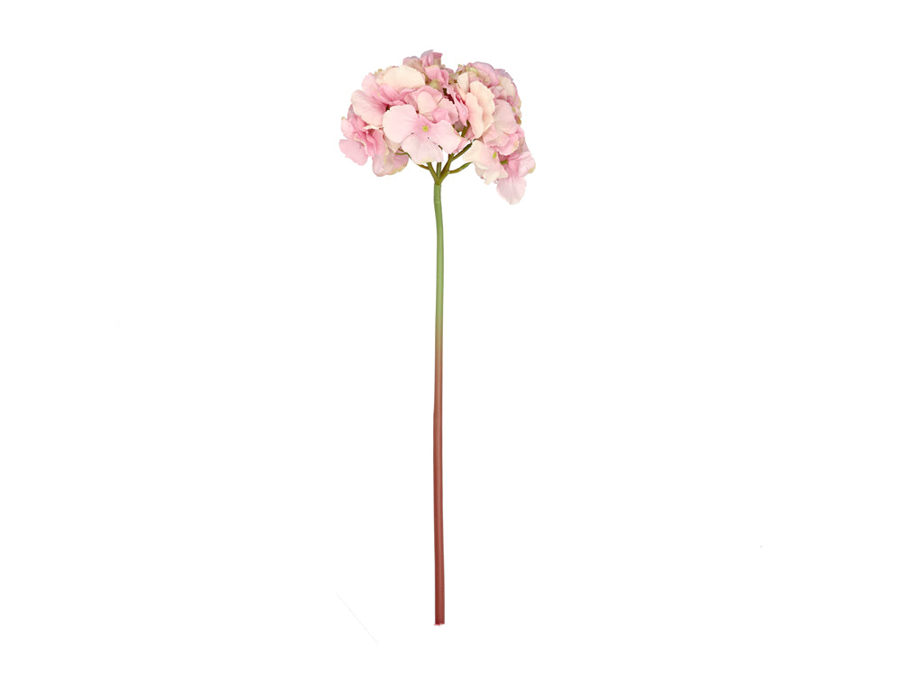 Villa Collection Hydrangea Bloem Dia 24 x 60 cm Roze - Accessoire Loods