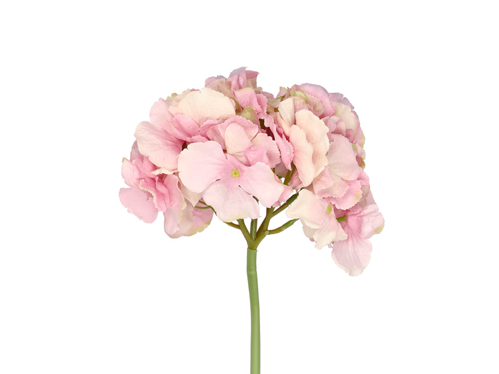 Villa Collection Hydrangea Bloem Dia 24 x 60 cm Roze - Accessoire Loods