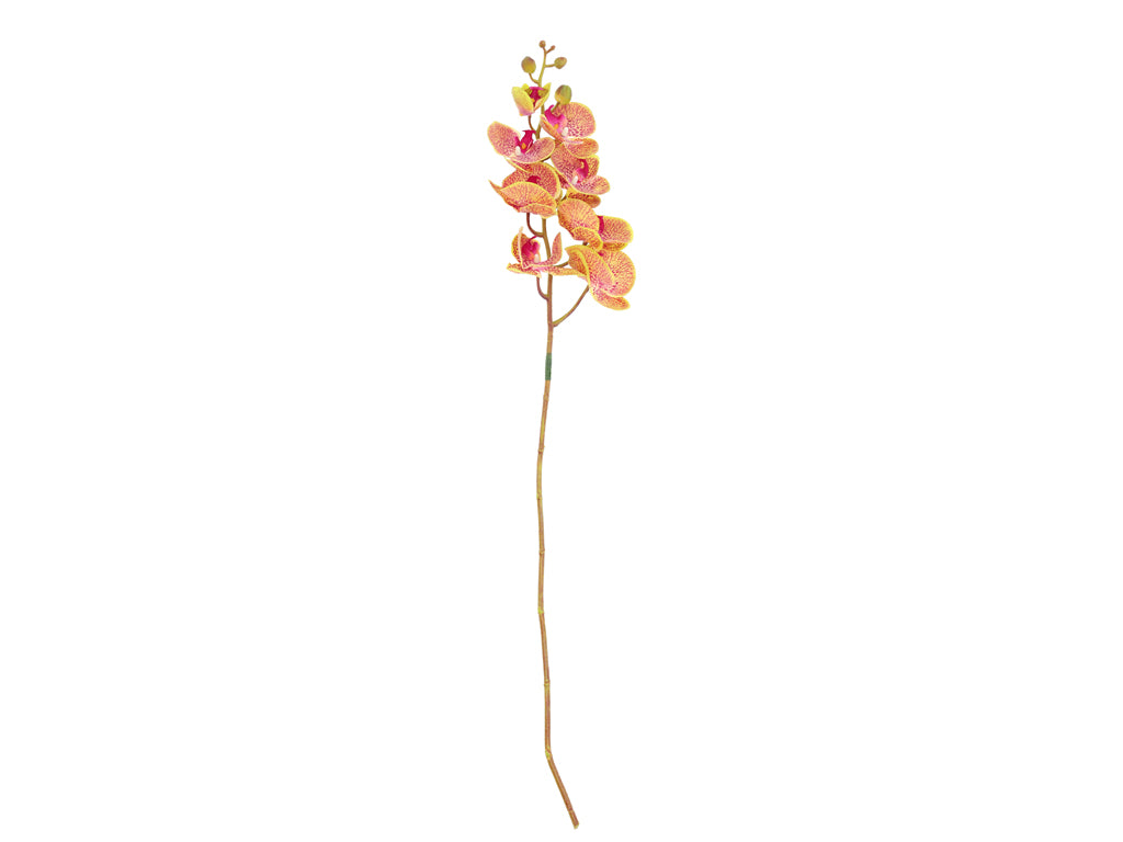 Villa Collection Orchid Bloem 102 cm Groen/Roze - Accessoire Loods