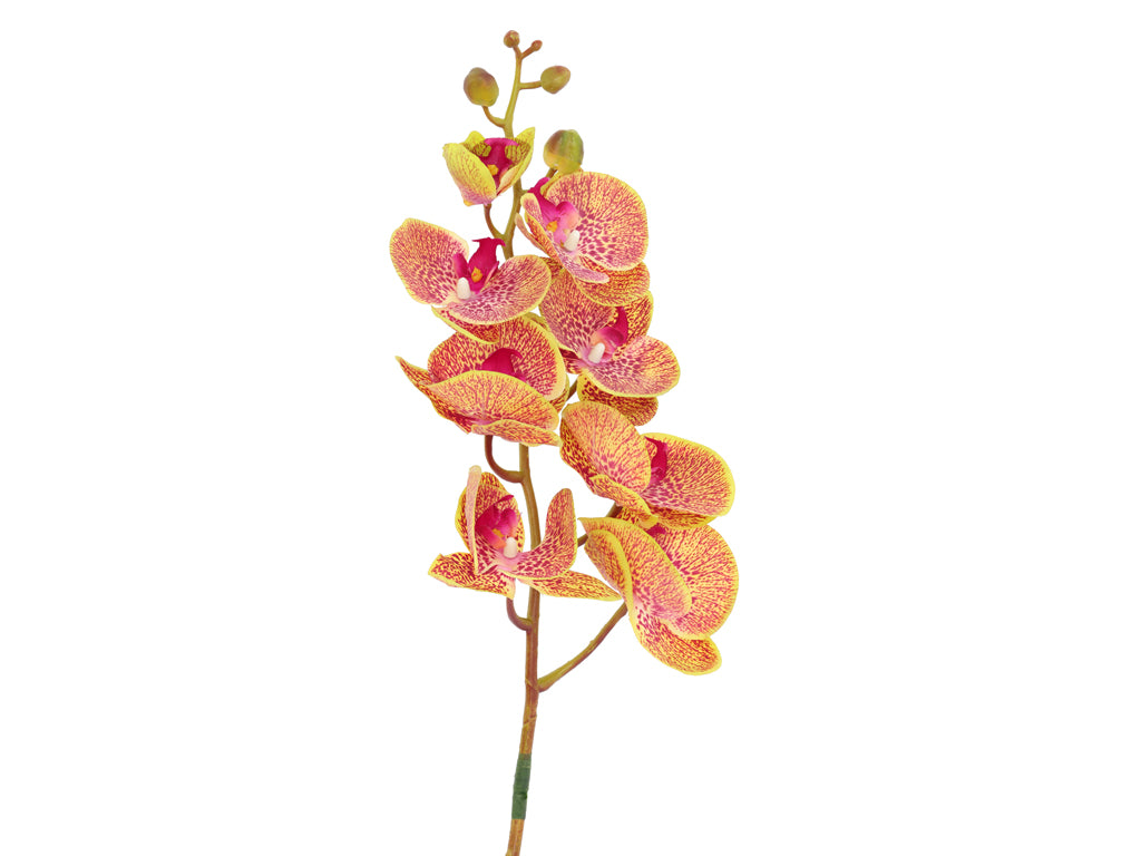 Villa Collection Orchid Bloem 102 cm Groen/Roze - Accessoire Loods