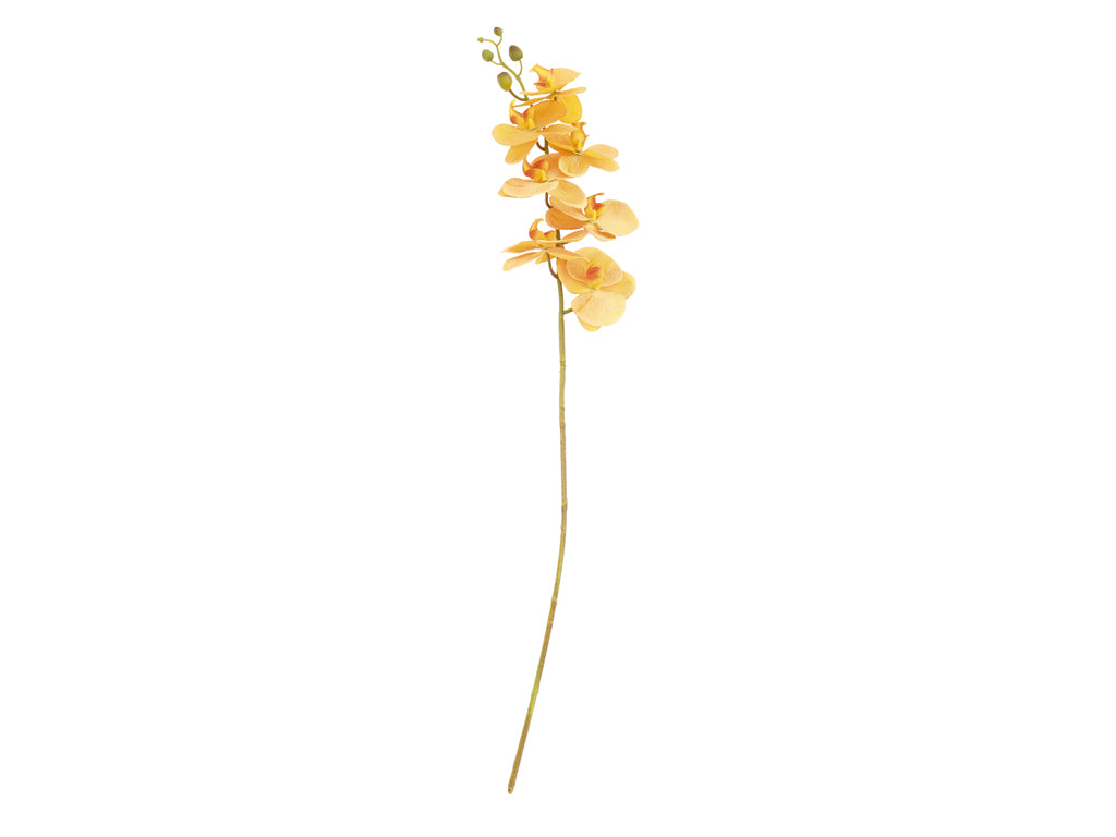Villa Collection Orchid Bloem 102 cm Amber - Accessoire Loods