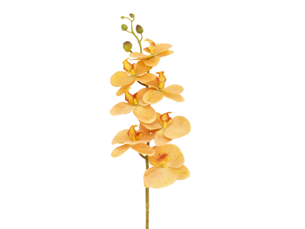 Villa Collection Orchid Bloem 102 cm Amber - Accessoire Loods