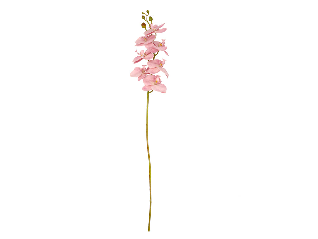 Villa Collection Orchid Bloem 102 cm Roze - Accessoire Loods