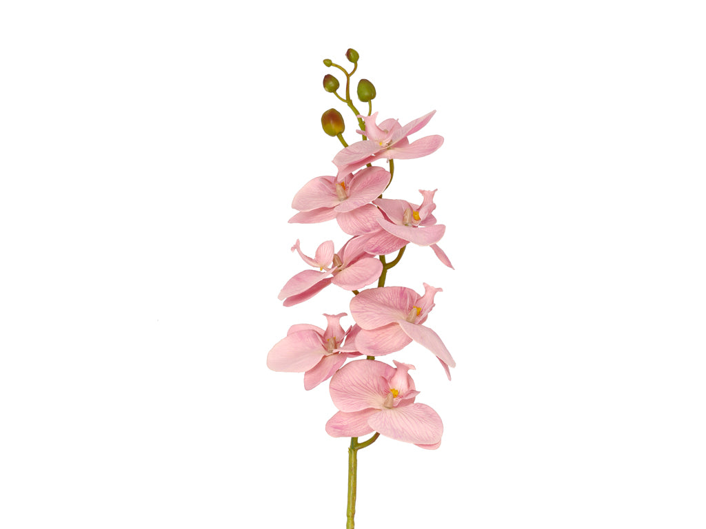 Villa Collection Orchid Bloem 102 cm Roze - Accessoire Loods