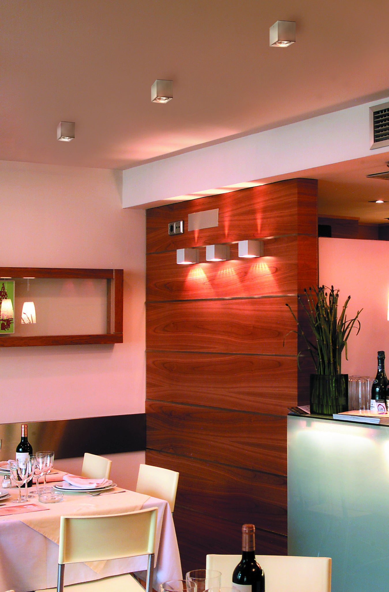 Dau 80 Wall lamp G9 Brushed aluminum