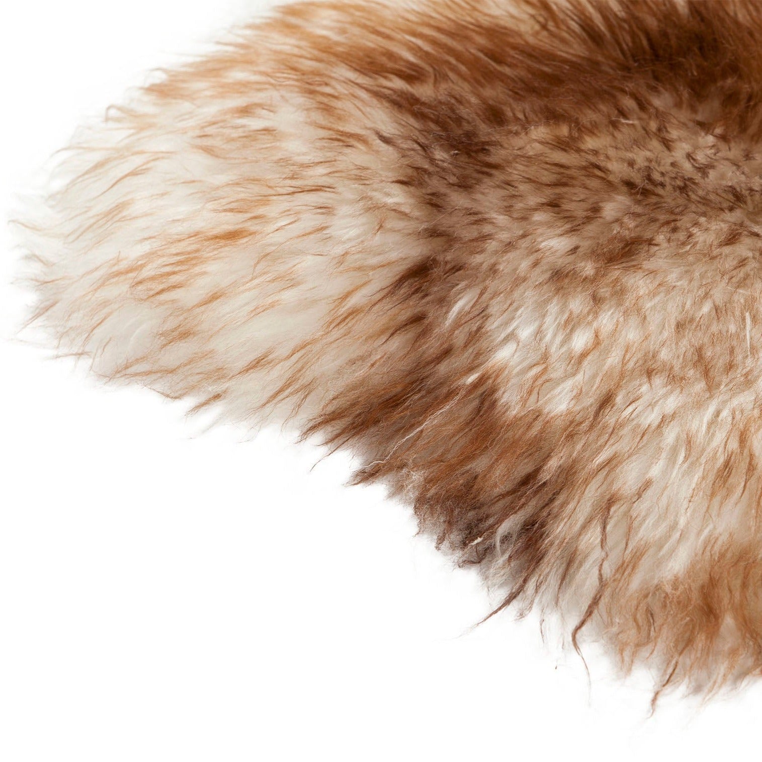 Schapenvacht | Mouflon | 100 x 65cm - Dyreskinn - Accessoire Loods
