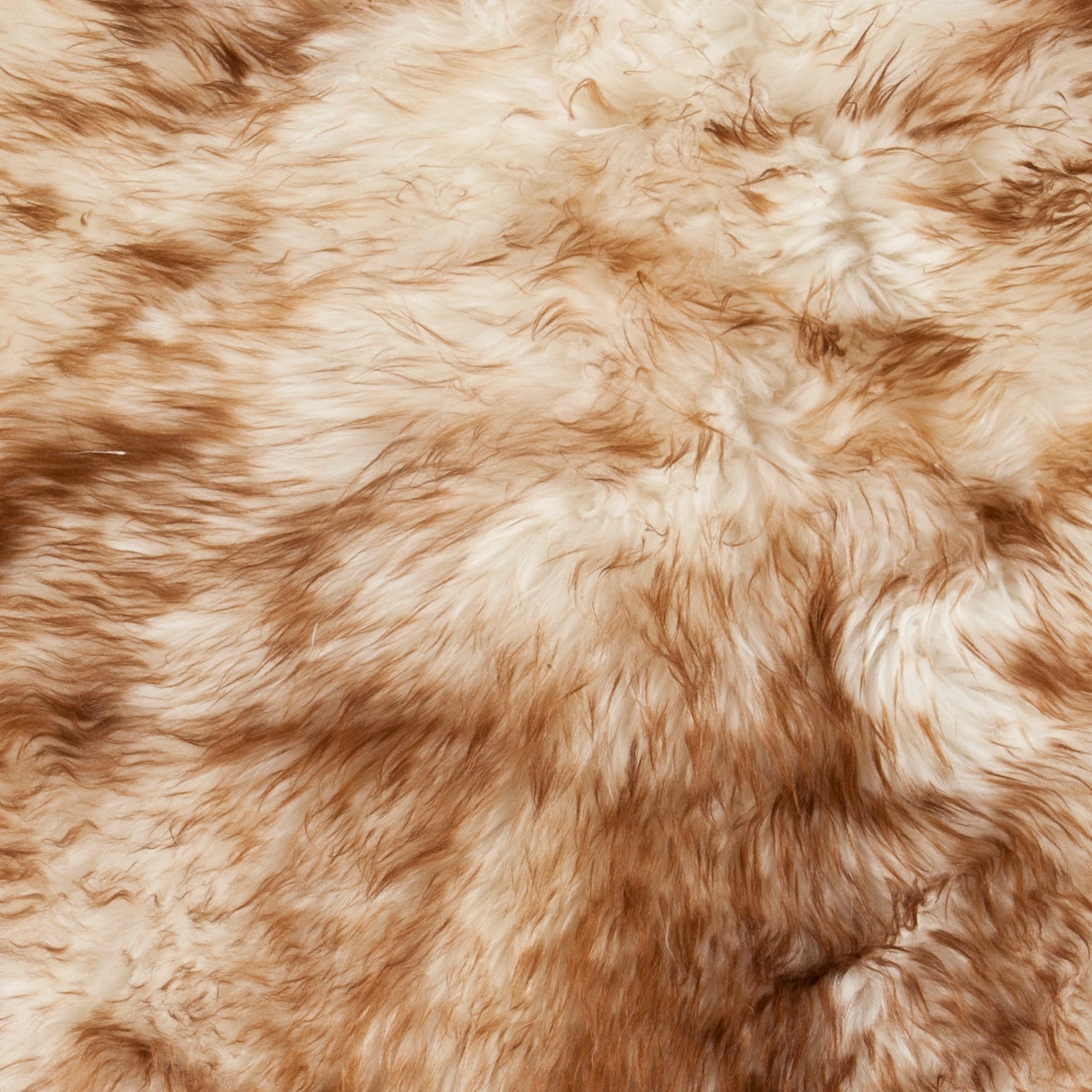 Schapenvacht | Mouflon | 100 x 65cm - Dyreskinn - Accessoire Loods