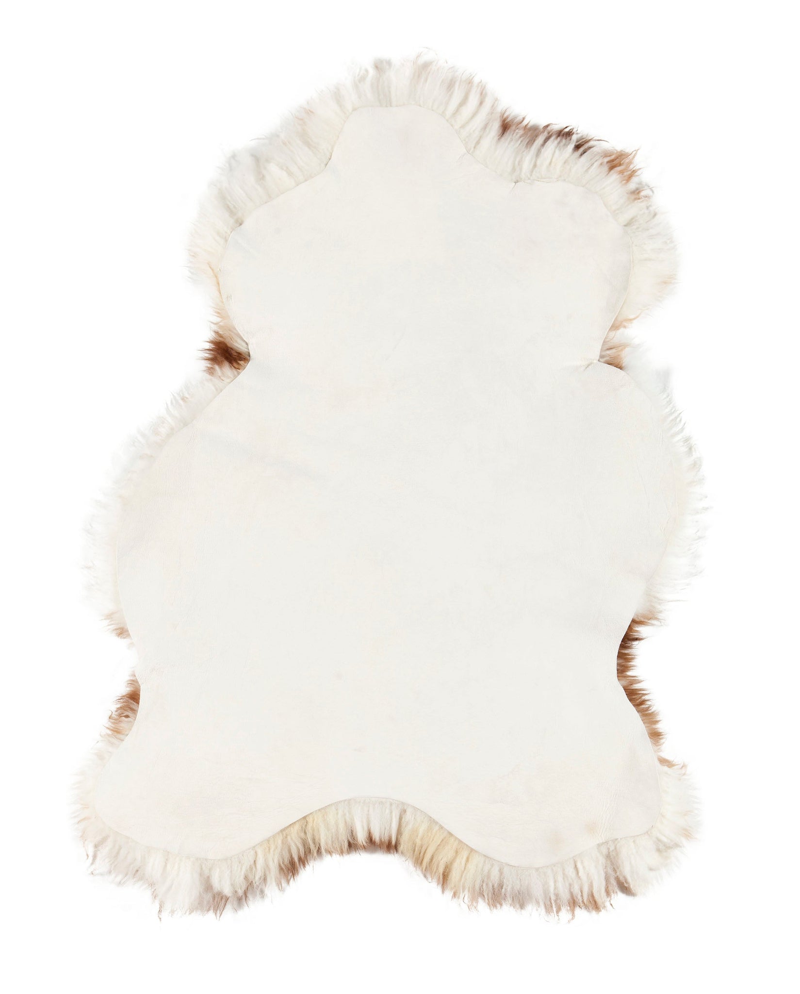 Schapenvacht | Mouflon | 100 x 65cm - Dyreskinn - Accessoire Loods