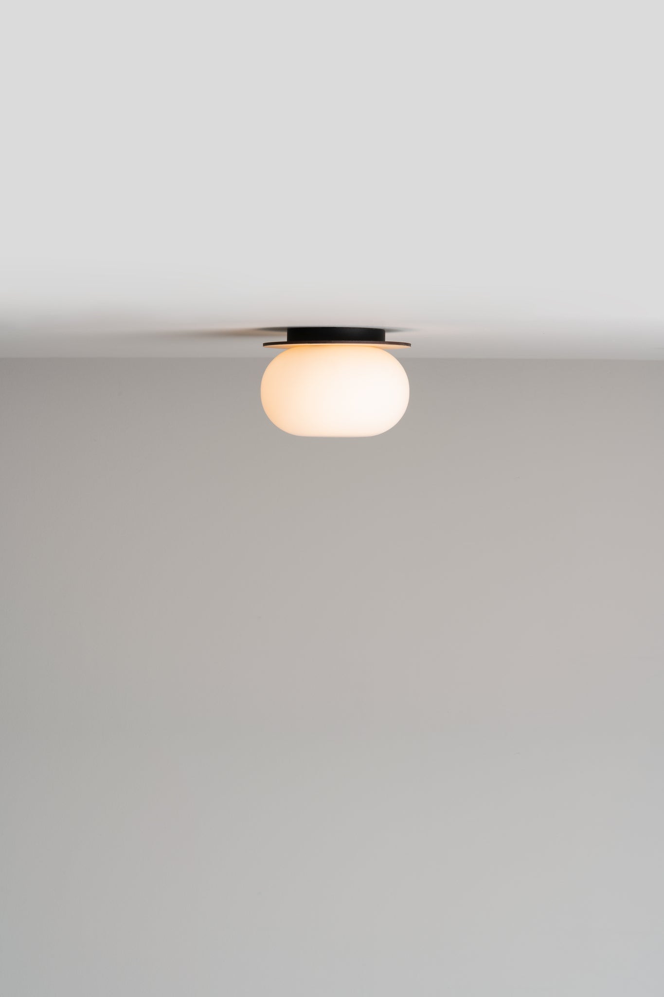 Knock Wall/ceiling lamp G9 @ 15 cm ash wood - Milan - Accessoire Loods