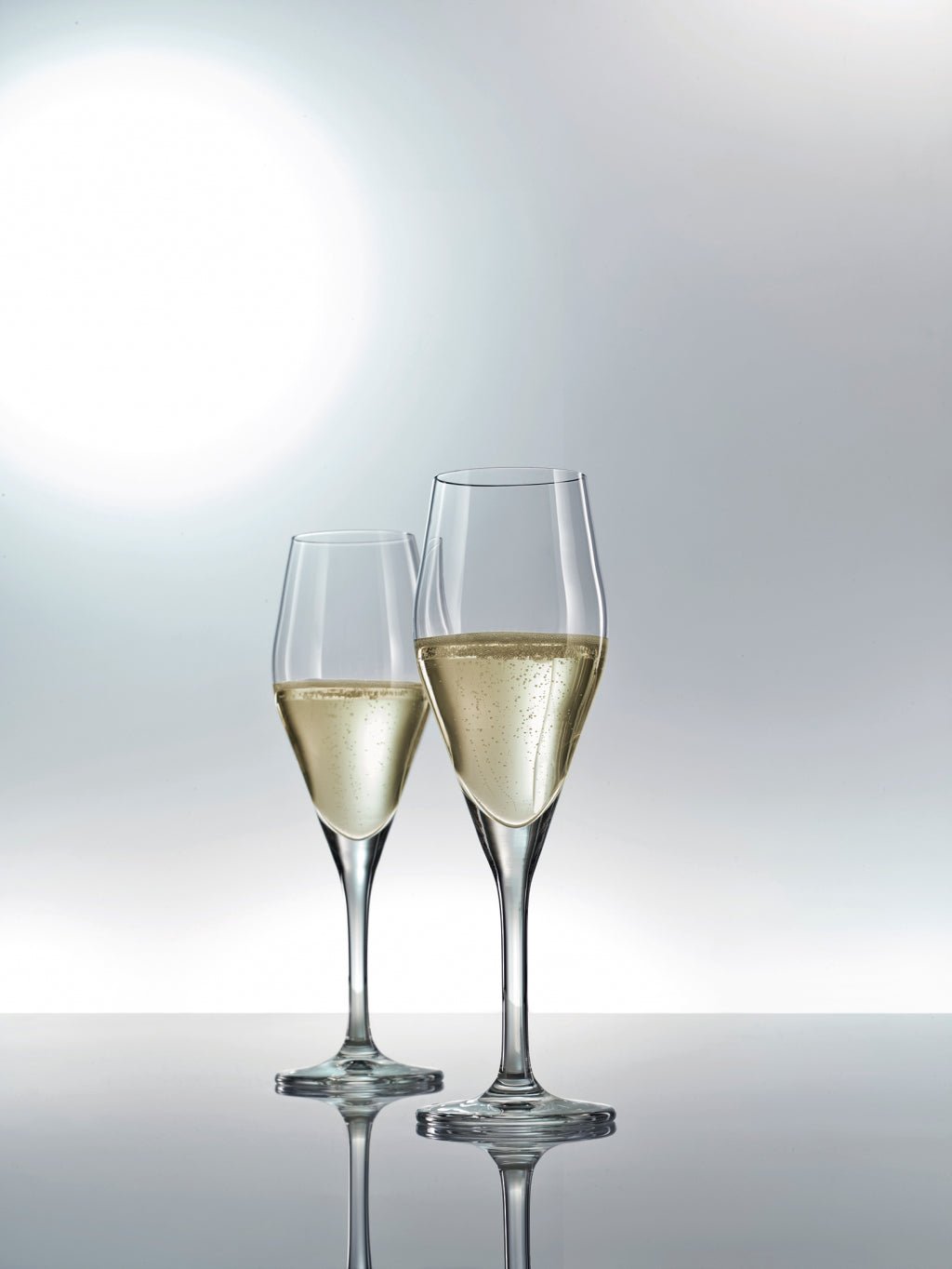 Schott Zwiesel Audience Champagneglas met MP 77 - 0.25 Ltr - 6 stuks - Schott Zwiesel - Accessoire Loods