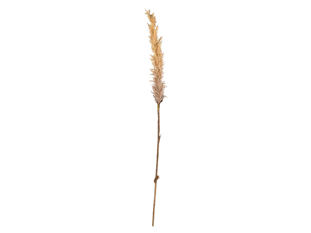 Villa Collection Kvist Grassen licht Decor 100 cm Natuur - Accessoire Loods