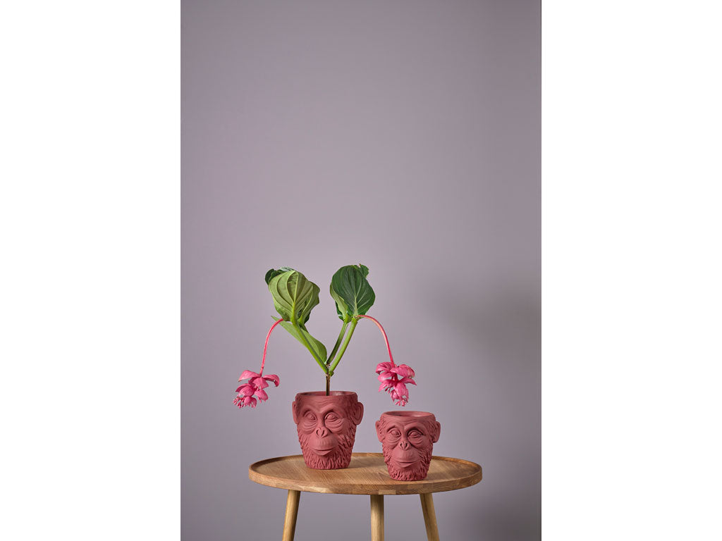 Salontafel Eikenhout Nature oiled 70.5 x 70.5 x 44.5 cm