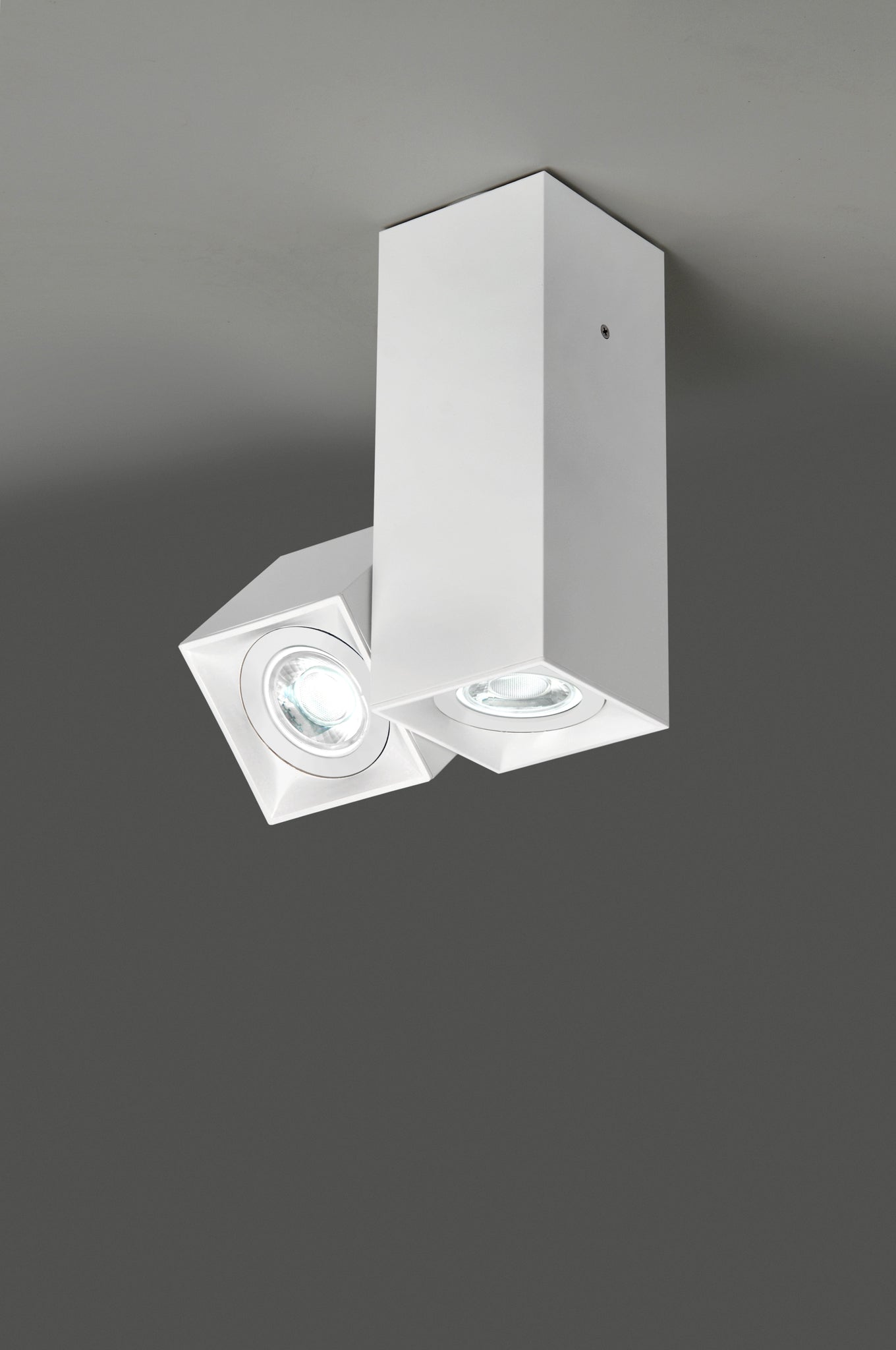 Dau 80 ceiling lamp 2 x GU10 textured white