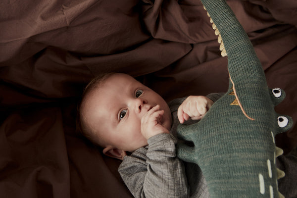 Mr. Crocodile Gustav