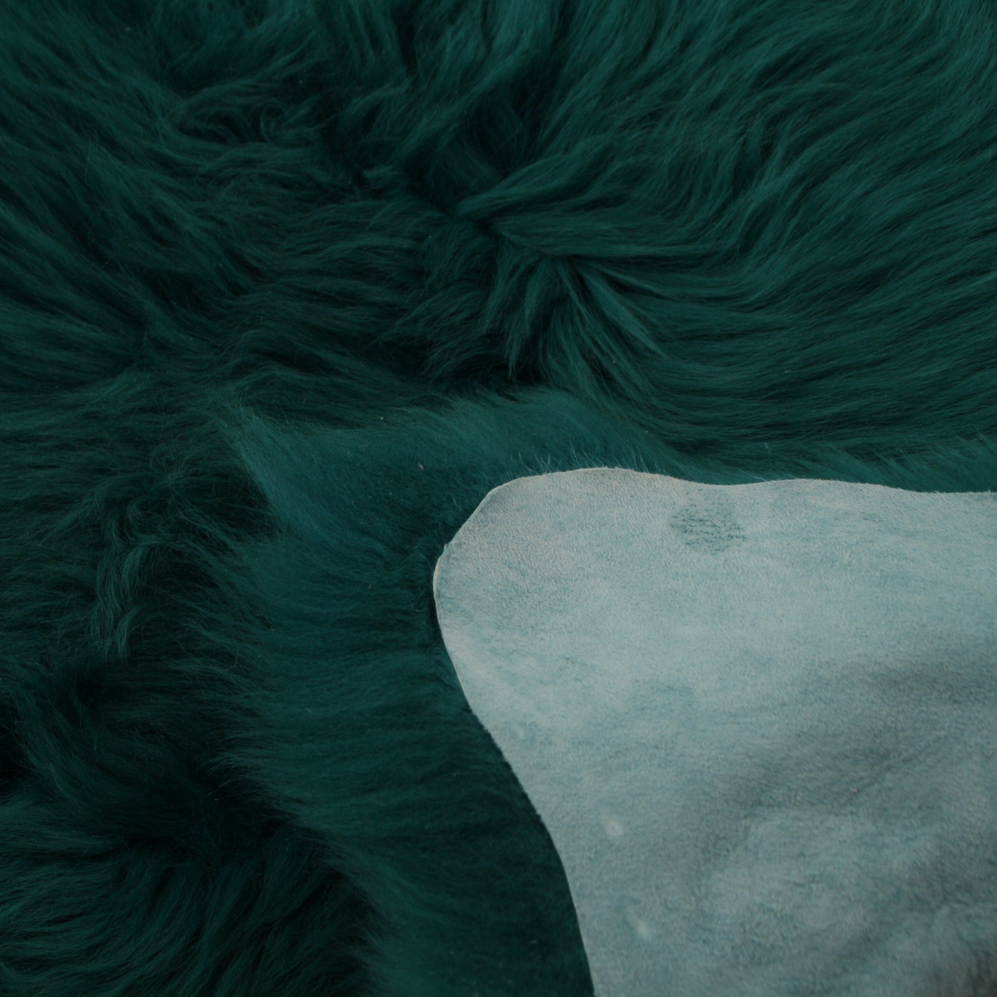 Schapenvacht | Groen | 100 x 65cm - Dyreskinn - Accessoire Loods