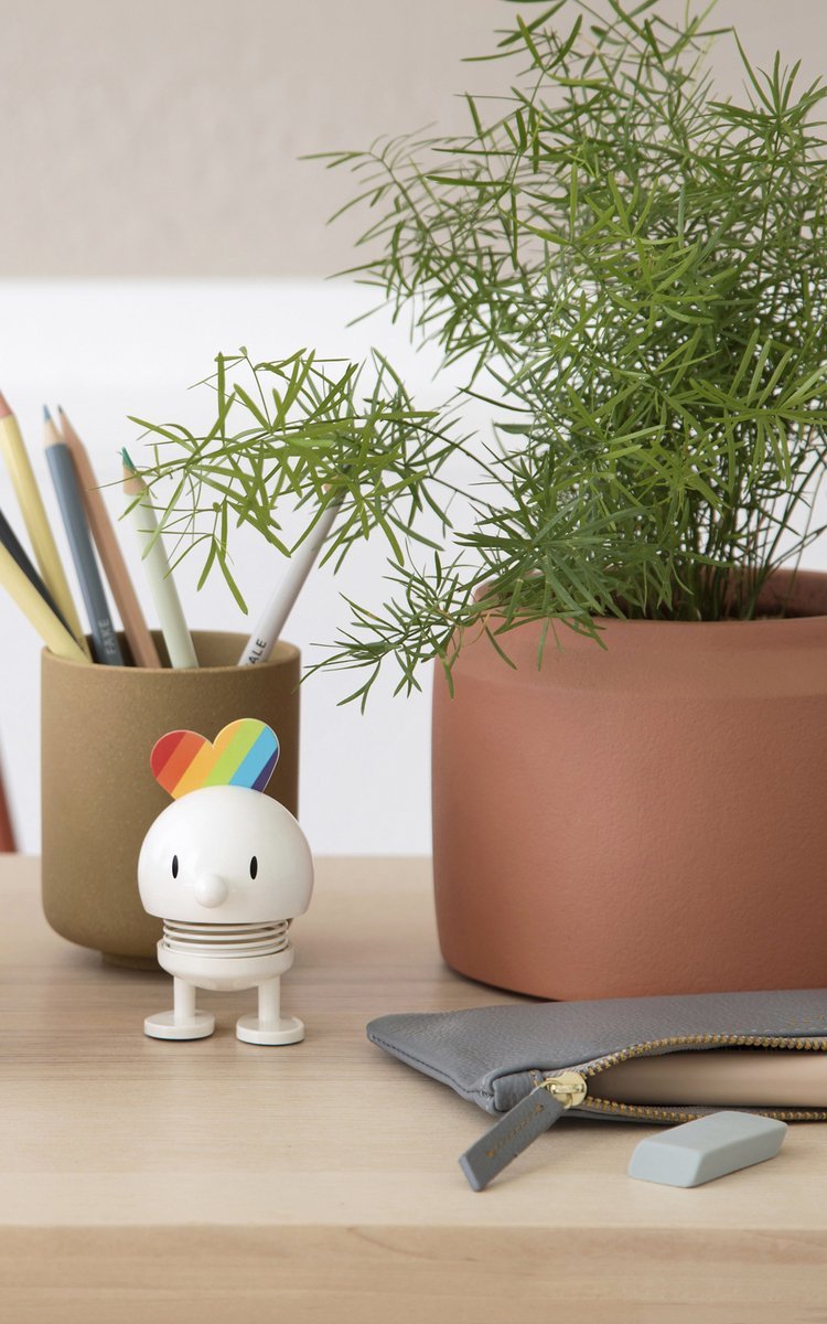 Hoptimist Regenboog S Wit - Hoptimist - Accessoire Loods