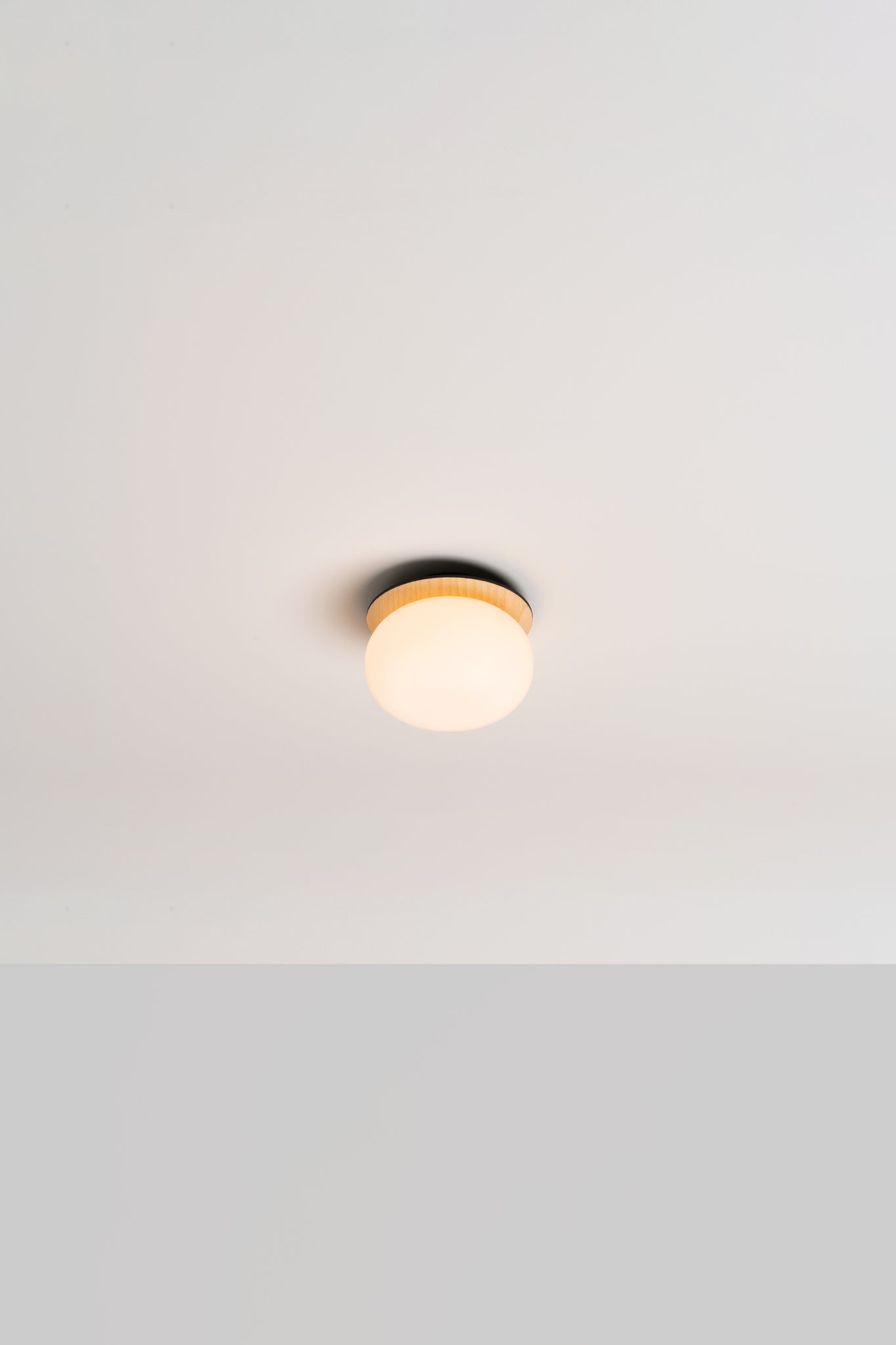 Knock Wall/ceiling lamp G9 @ 15 cm ash wood - Milan - Accessoire Loods