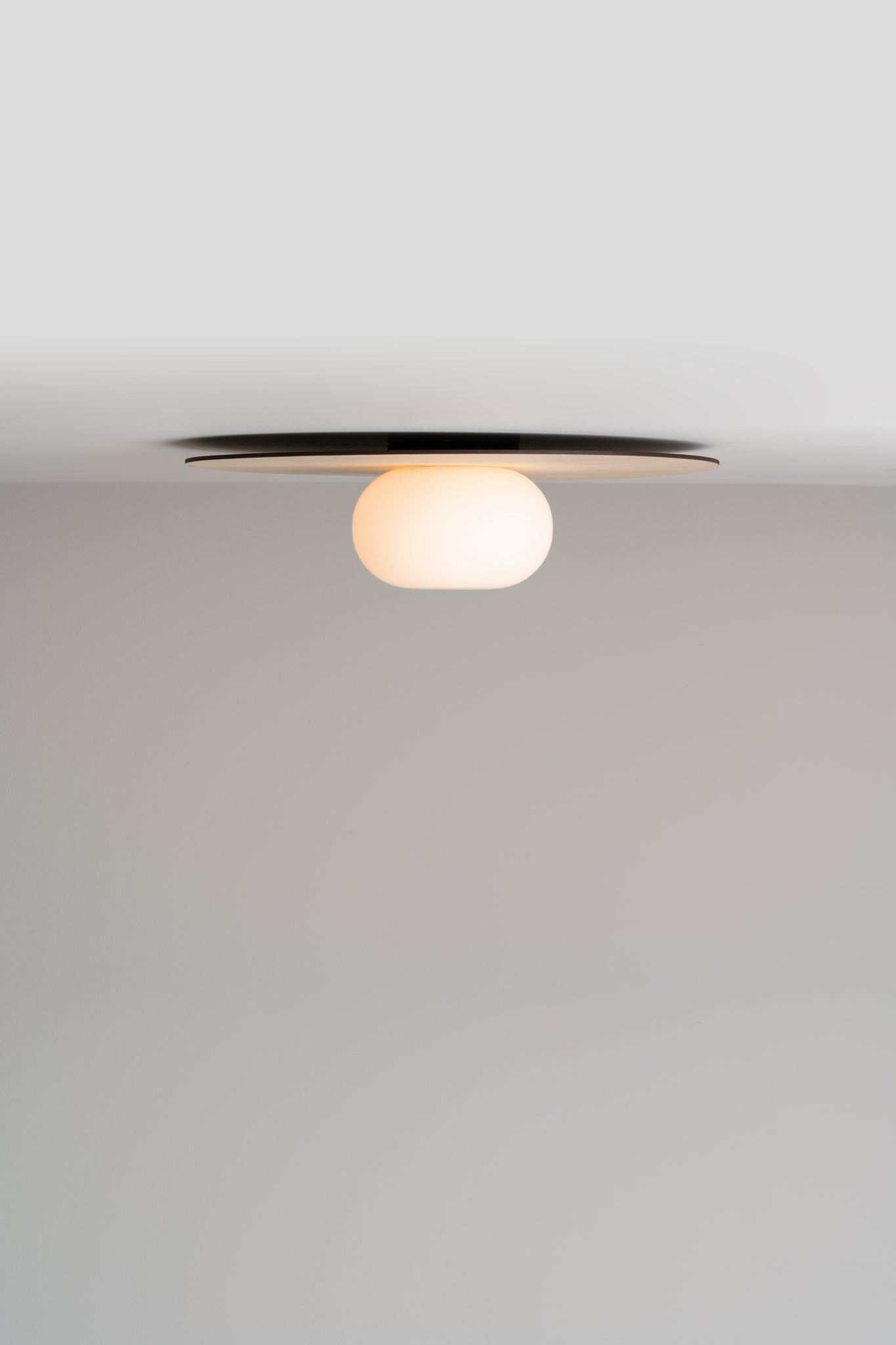 Knock Wall/ceiling lamp G9 @ 40 cm ash wood - Milan - Accessoire Loods