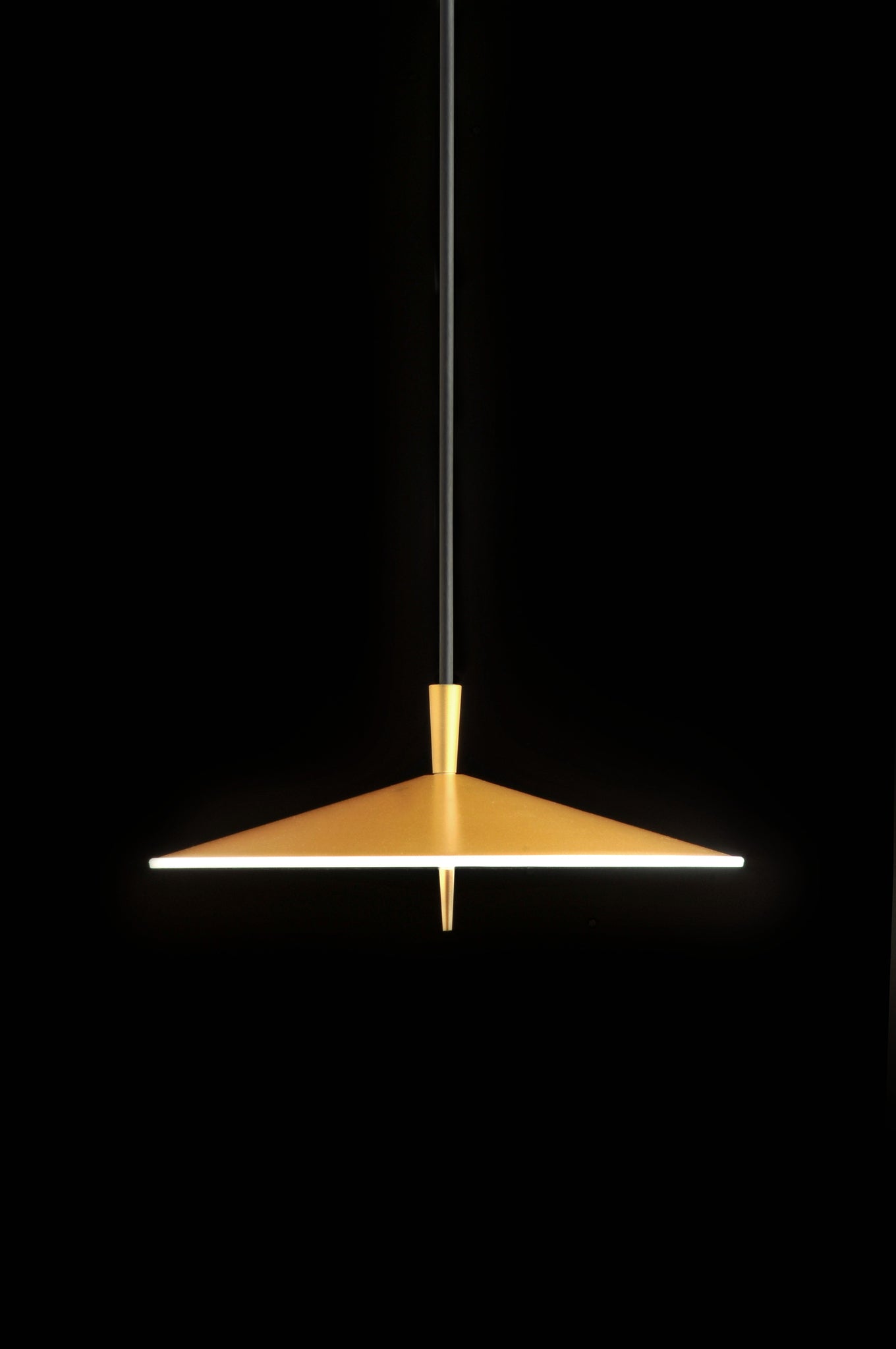 Pla pendant 20 led metallic gold - Milan - Accessoire Loods