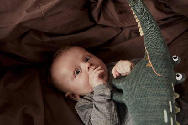 Mr. Crocodile Gustav - OYOY MINI - Accessoire Loods